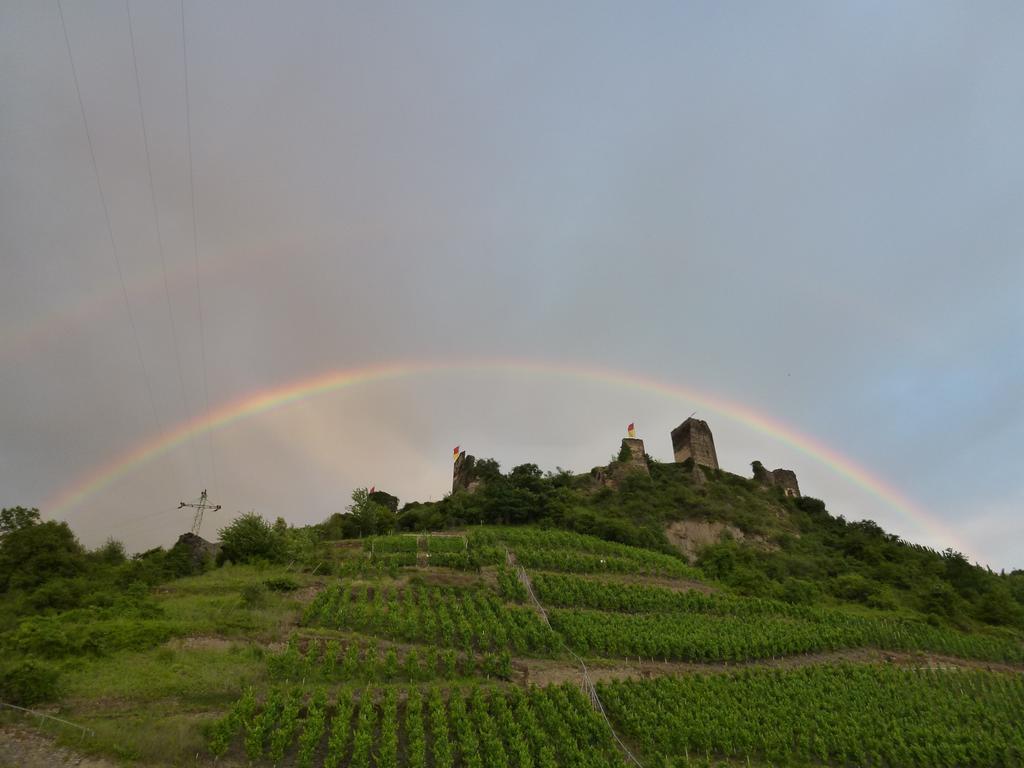 Hotel Haus Burg Metternich Байлщайн Екстериор снимка